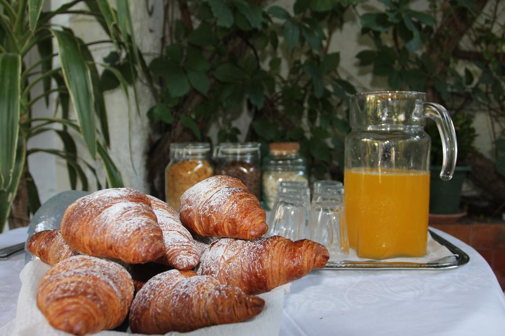 Bed & Breakfast B&B Damian