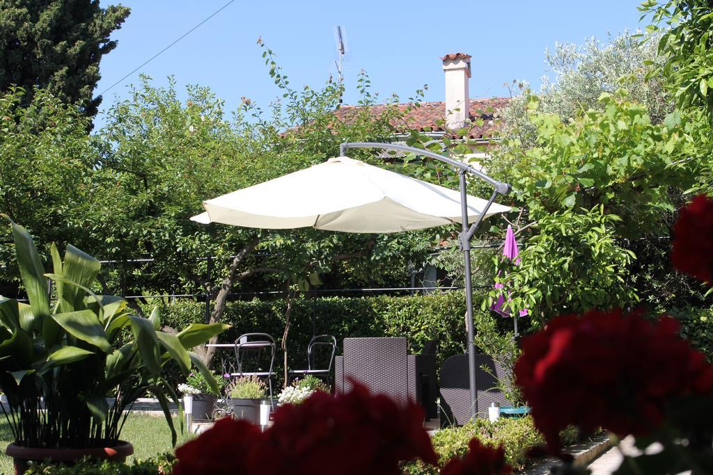 Bed & Breakfast B&B Damian 3*