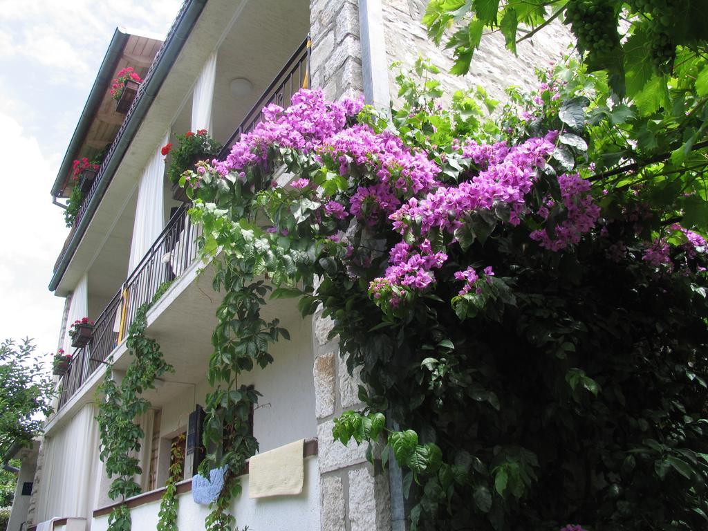 B&B Damian Bed & Breakfast