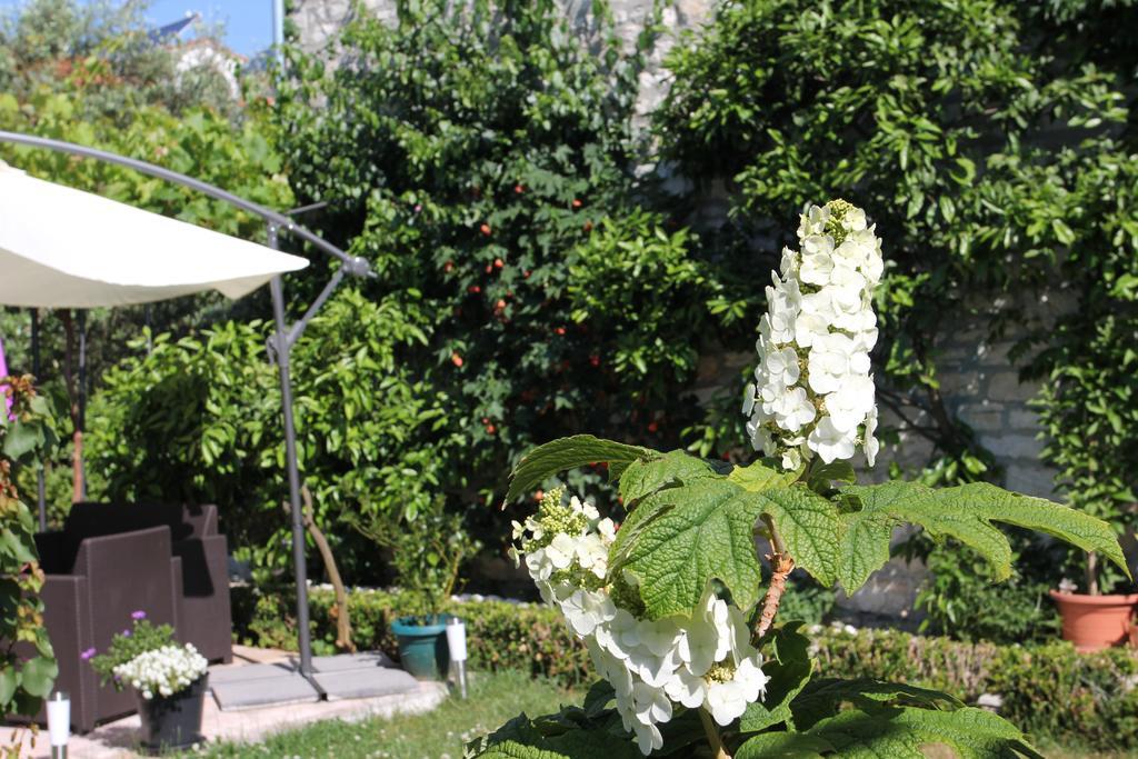 B&B Damian Bed & Breakfast
